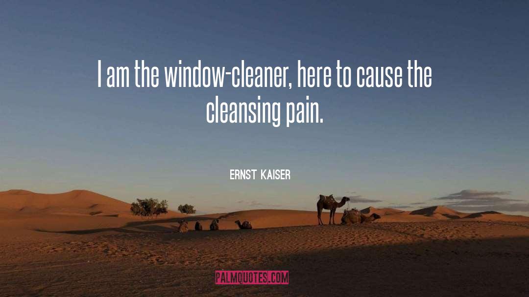 Ernst Kaiser Quotes: I am the window-cleaner, here