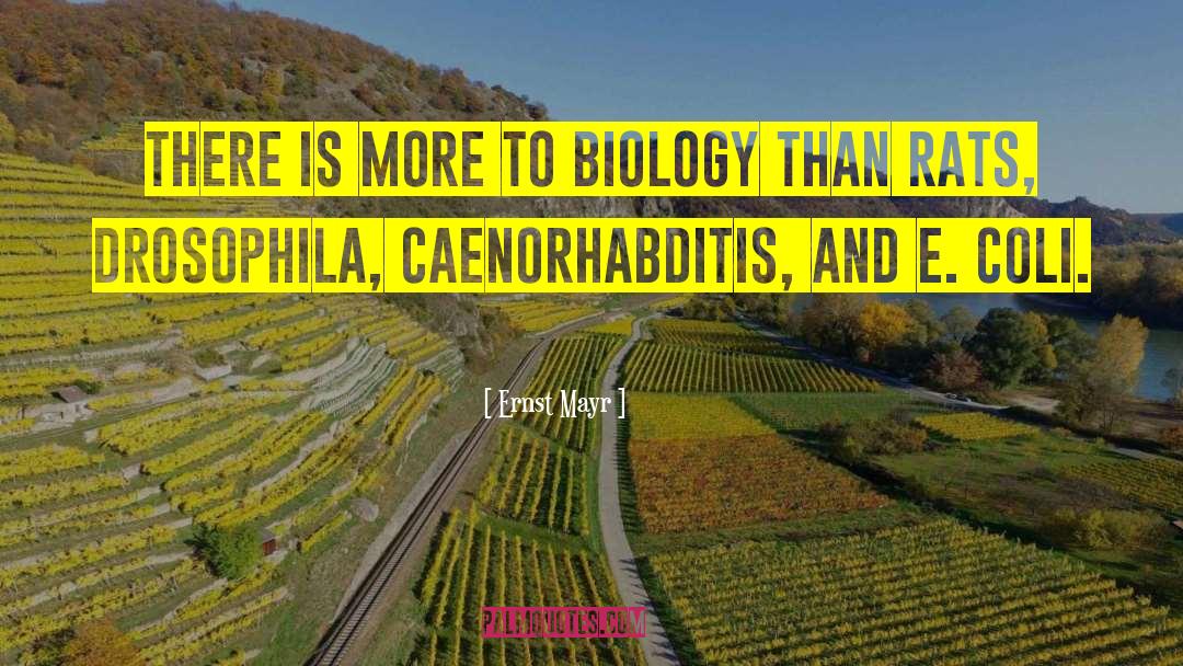 Ernst Mayr Quotes: There is more to biology