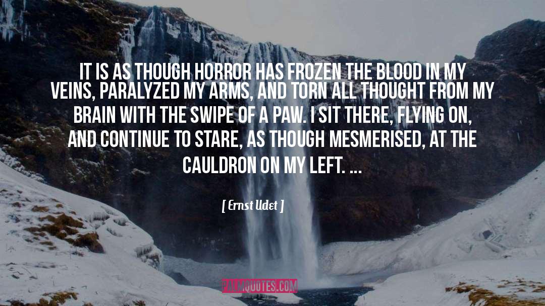 Ernst Udet Quotes: It is as though horror