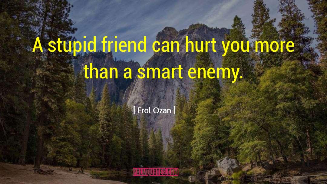 Erol Ozan Quotes: A stupid friend can hurt