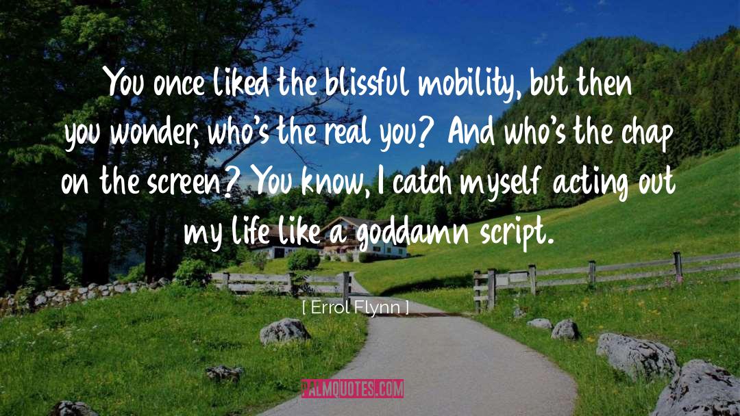 Errol Flynn Quotes: You once liked the blissful