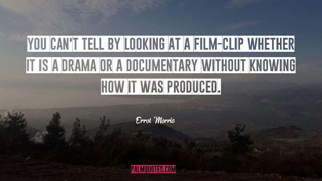 Errol Morris Quotes: You can't tell by looking