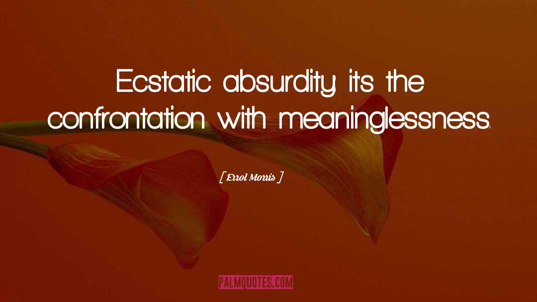 Errol Morris Quotes: Ecstatic absurdity: it's the confrontation