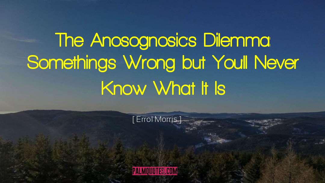 Errol Morris Quotes: The Anosognosic's Dilemma: Something's Wrong