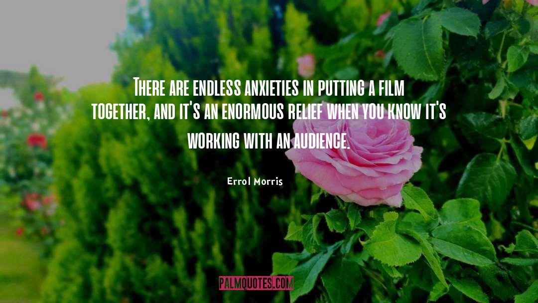 Errol Morris Quotes: There are endless anxieties in