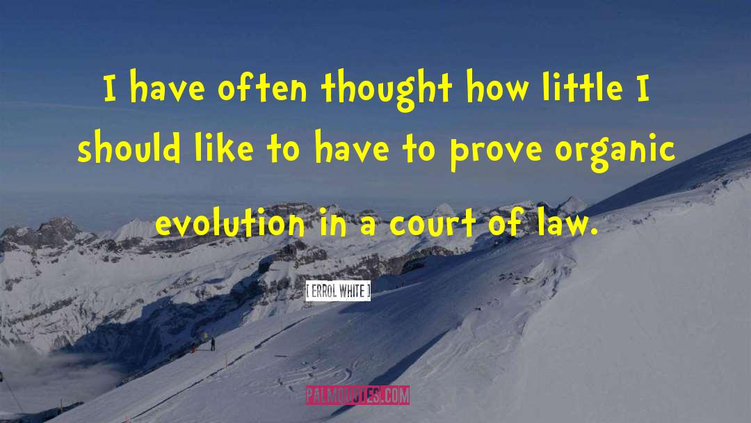 Errol White Quotes: I have often thought how
