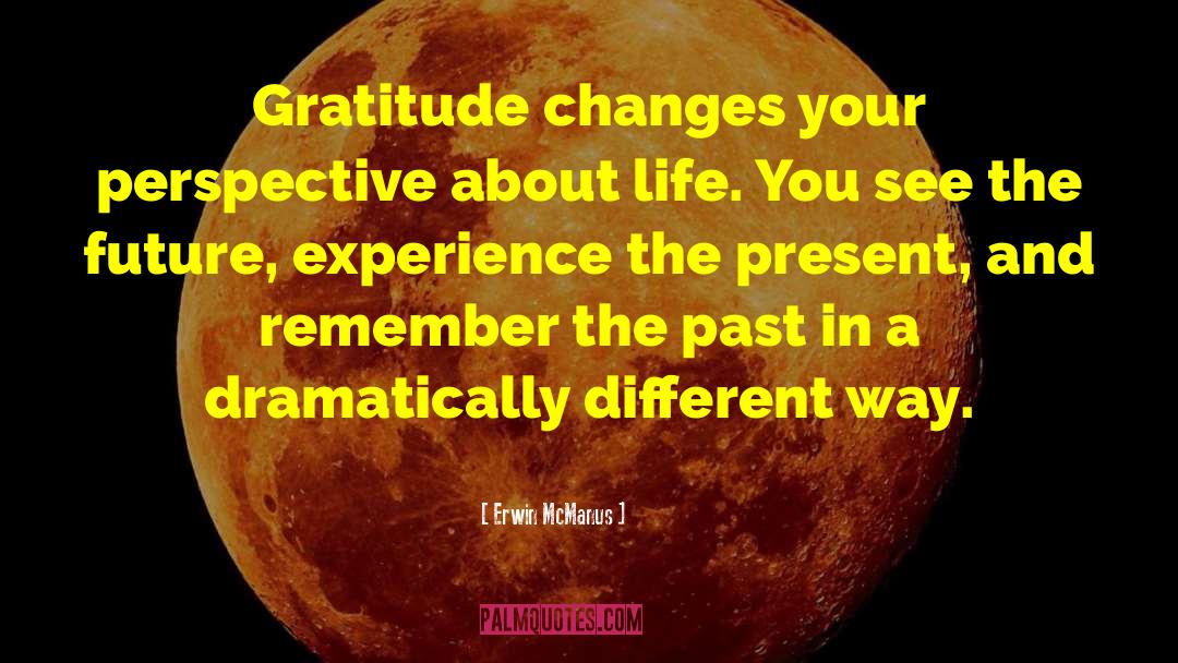 Erwin McManus Quotes: Gratitude changes your perspective about