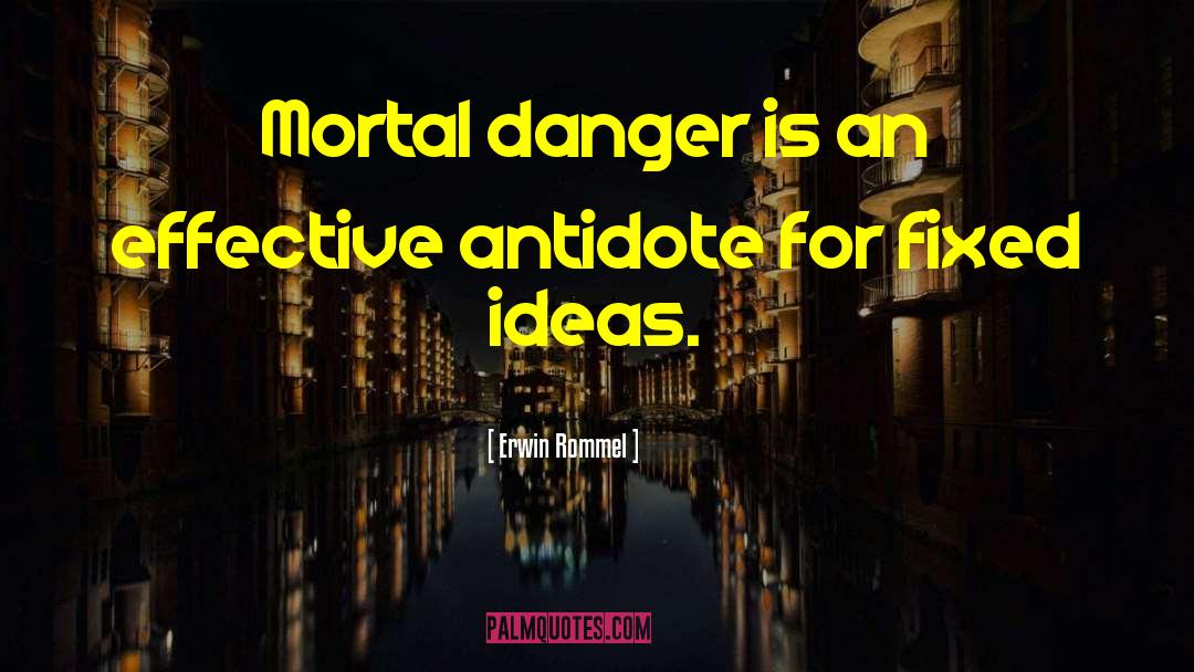 Erwin Rommel Quotes: Mortal danger is an effective