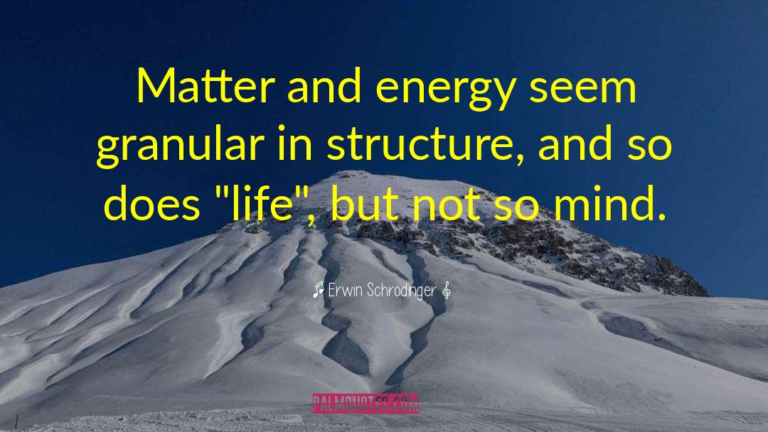 Erwin Schrodinger Quotes: Matter and energy seem granular