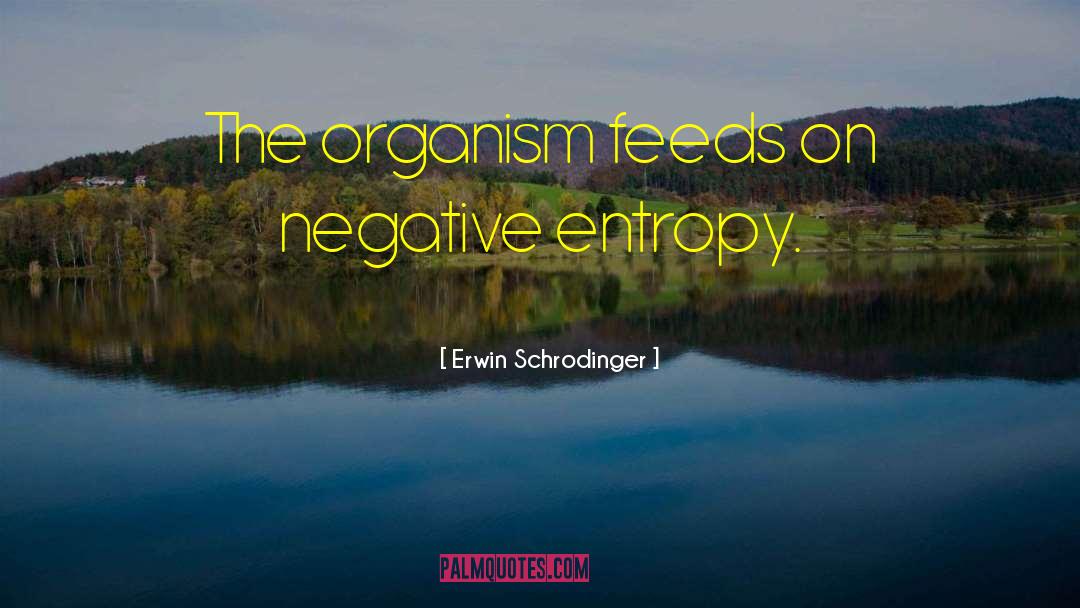 Erwin Schrodinger Quotes: The organism feeds on negative