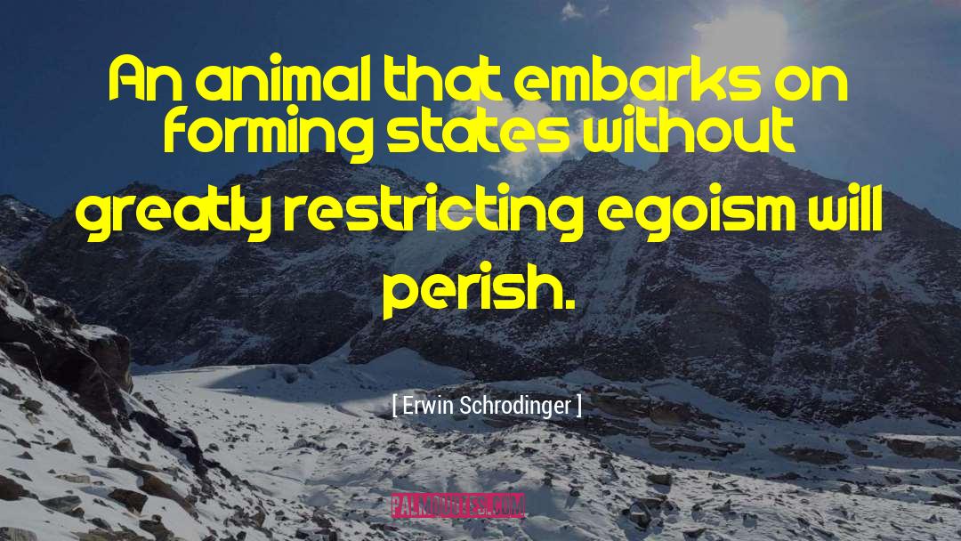 Erwin Schrodinger Quotes: An animal that embarks on