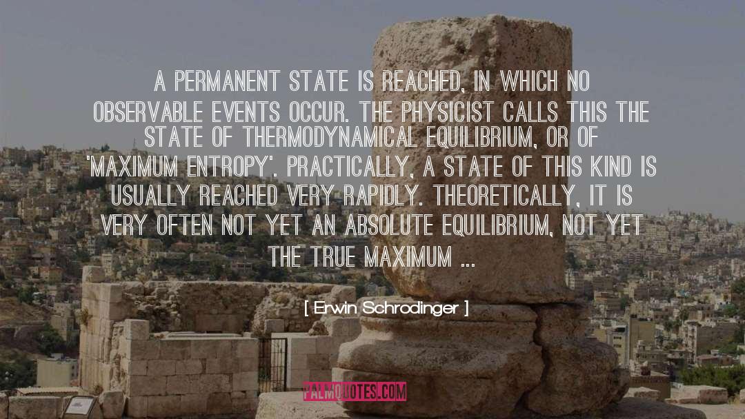 Erwin Schrodinger Quotes: A permanent state is reached,