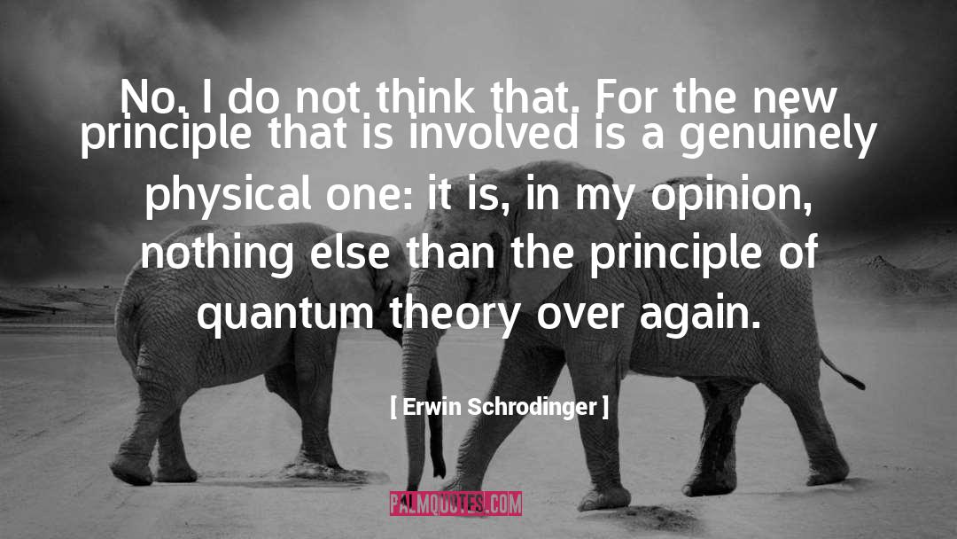 Erwin Schrodinger Quotes: No. I do not think