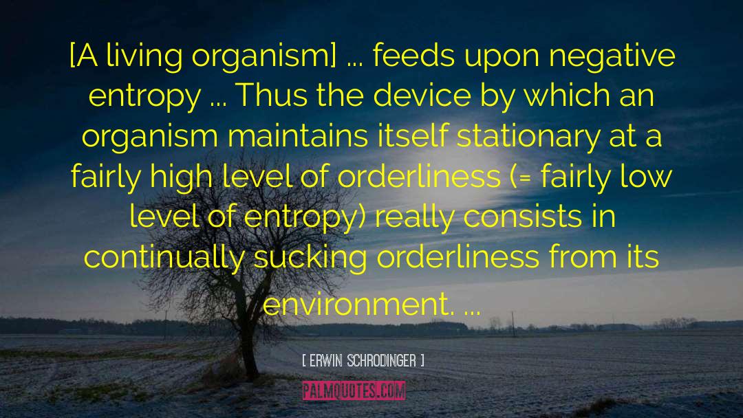 Erwin Schrodinger Quotes: [A living organism] ... feeds