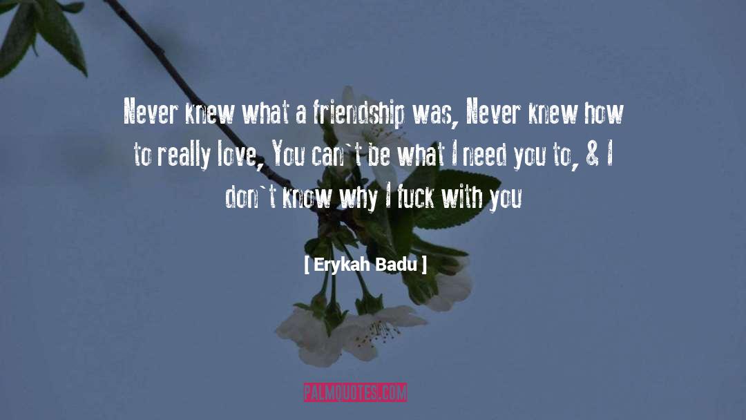 Erykah Badu Quotes: Never knew what a friendship