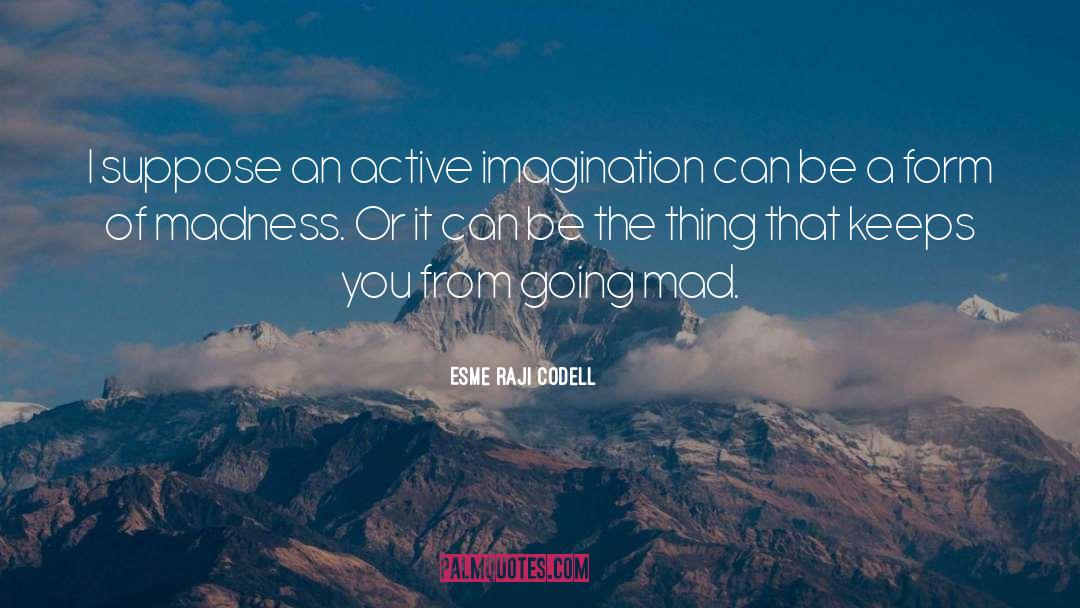 Esme Raji Codell Quotes: I suppose an active imagination