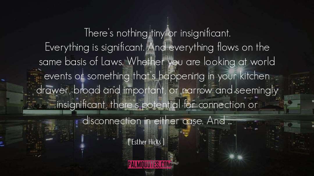 Esther Hicks Quotes: There's nothing tiny or insignificant.