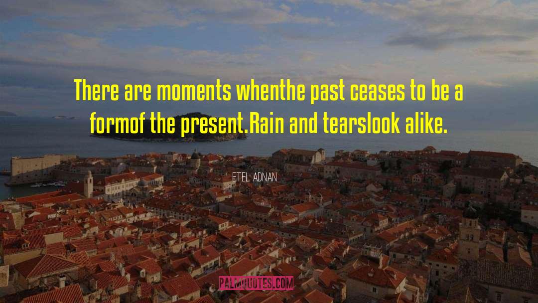 Etel Adnan Quotes: There are moments when<br />the