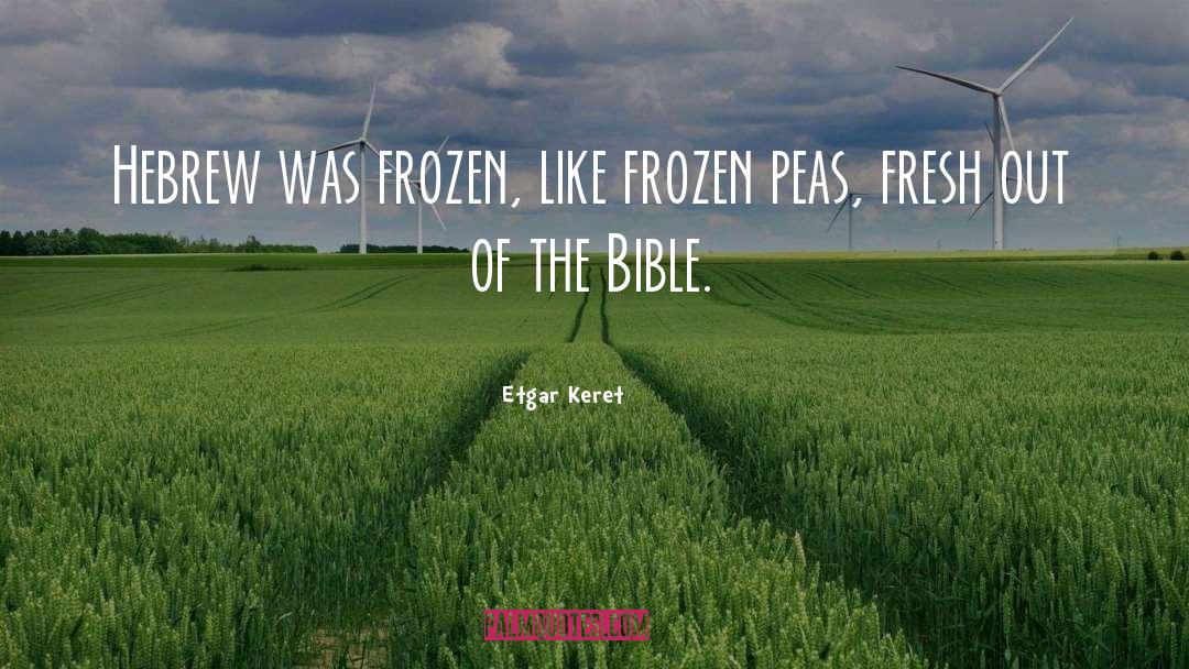 Etgar Keret Quotes: Hebrew was frozen, like frozen