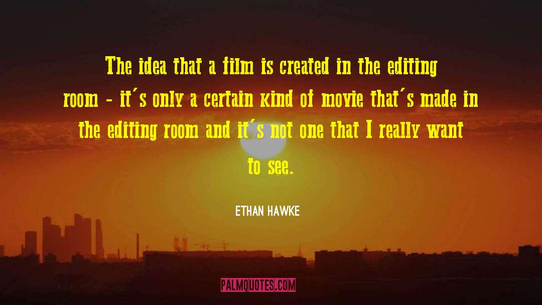 Ethan Hawke Quotes: The idea that a film