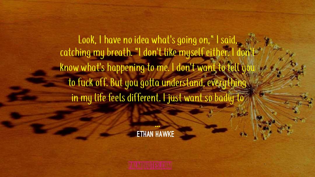 Ethan Hawke Quotes: Look, I have no idea