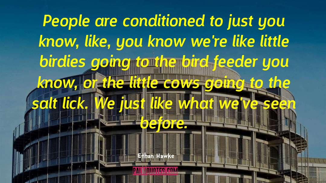 Ethan Hawke Quotes: People are conditioned to just