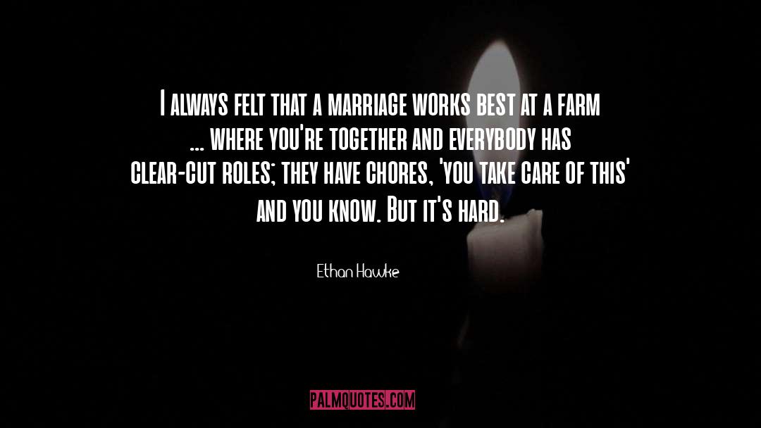 Ethan Hawke Quotes: I always felt that a