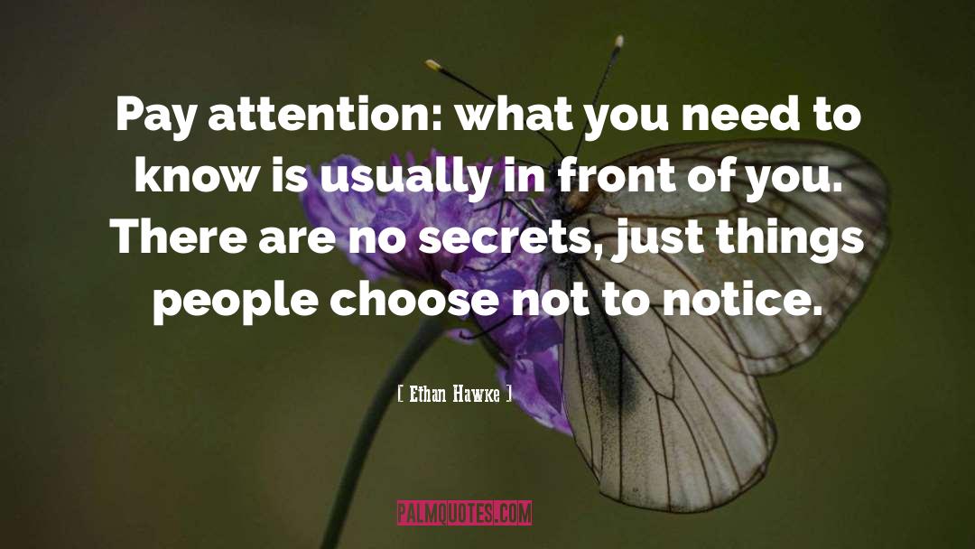Ethan Hawke Quotes: Pay attention: what you need