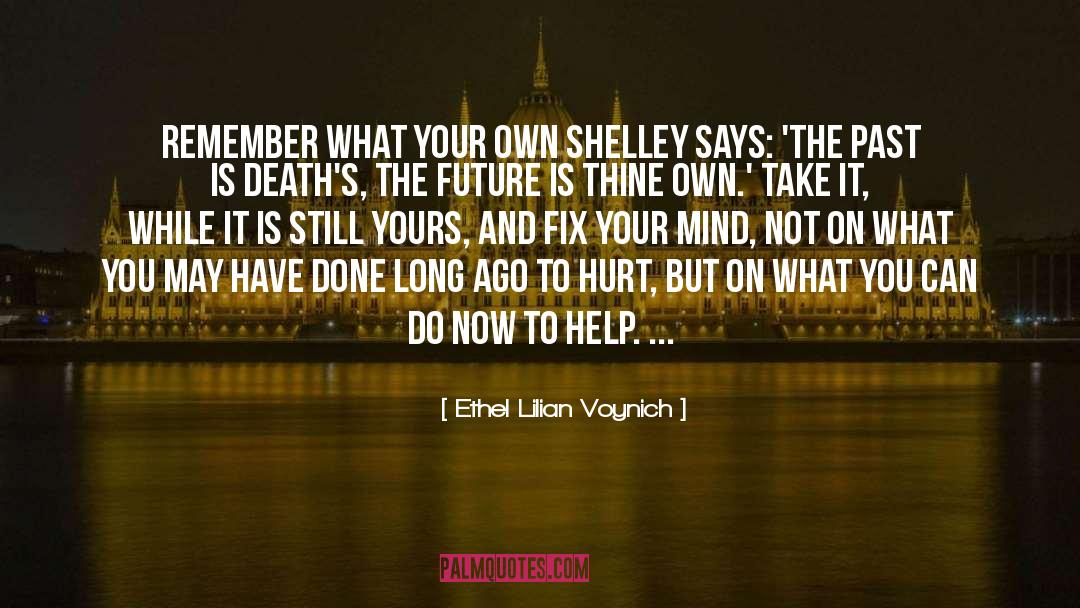 Ethel Lilian Voynich Quotes: Remember what your own Shelley