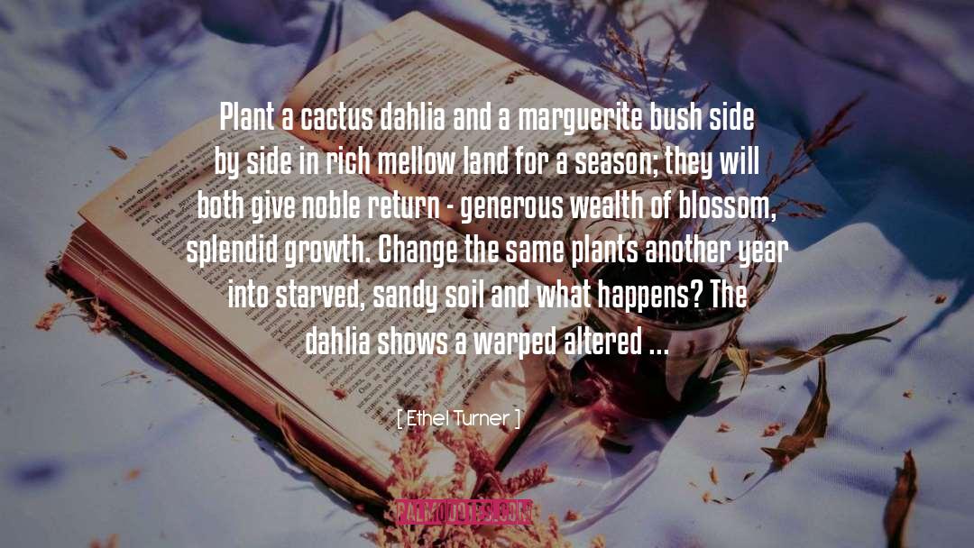 Ethel Turner Quotes: Plant a cactus dahlia and