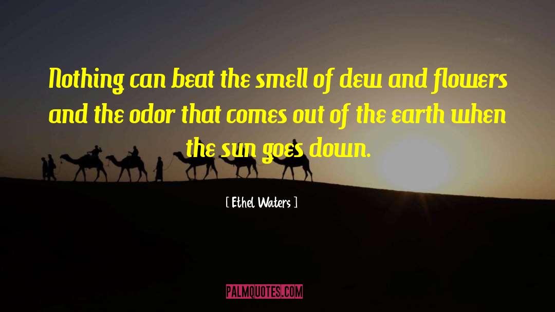 Ethel Waters Quotes: Nothing can beat the smell