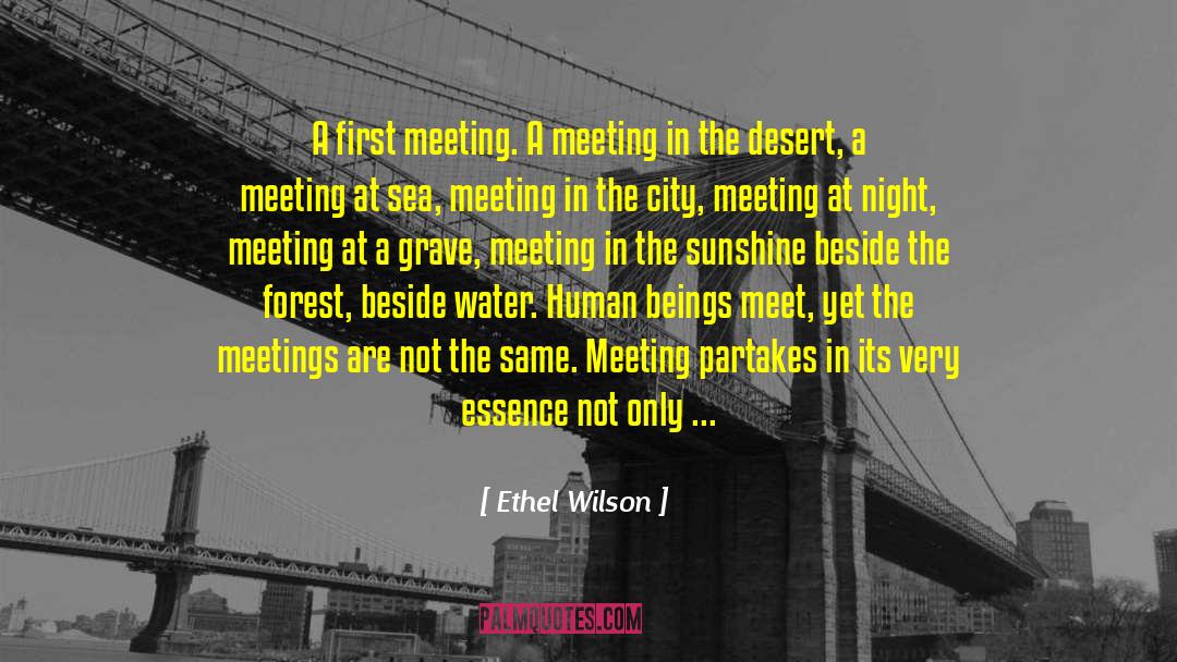 Ethel Wilson Quotes: A first meeting. A meeting