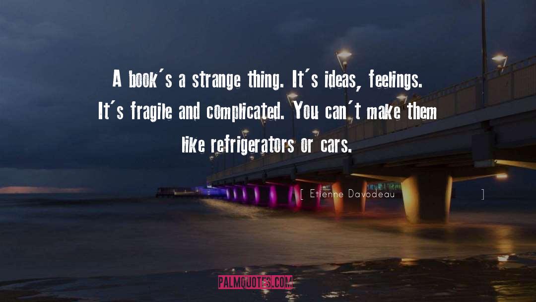 Etienne Davodeau Quotes: A book's a strange thing.