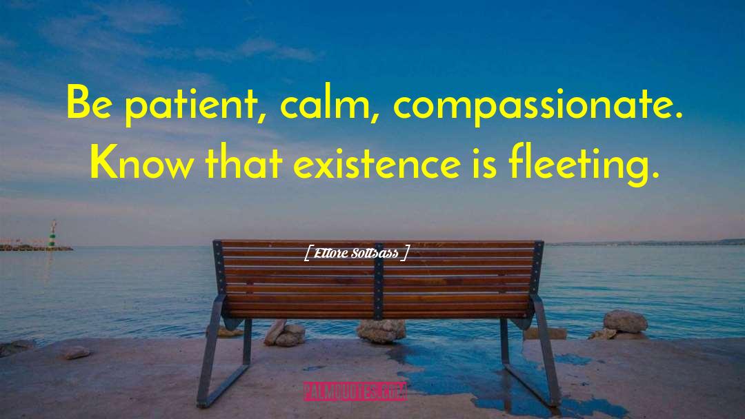 Ettore Sottsass Quotes: Be patient, calm, compassionate. Know
