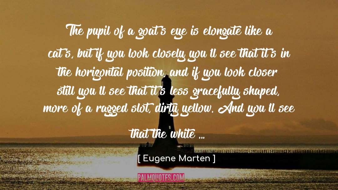 Eugene Marten Quotes: The pupil of a goat's