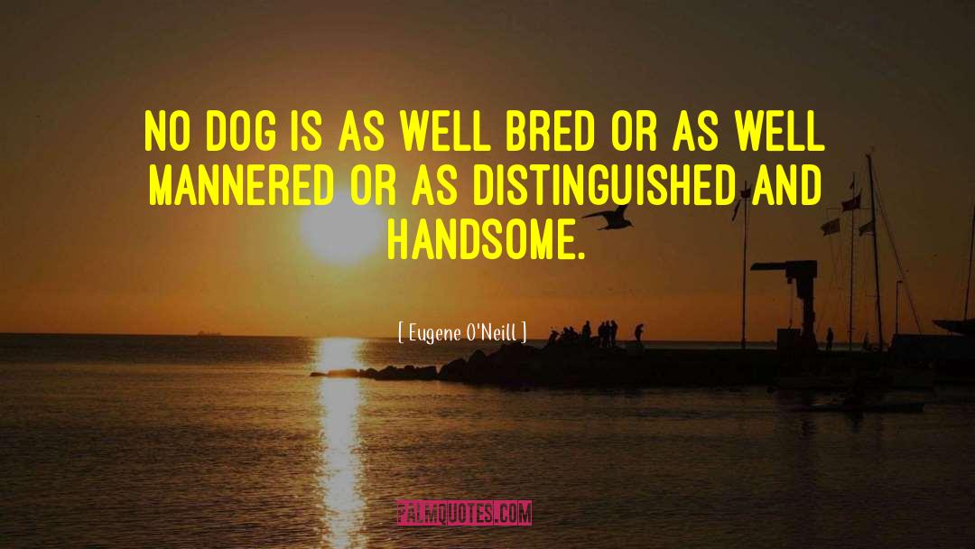 Eugene O'Neill Quotes: No dog is as well