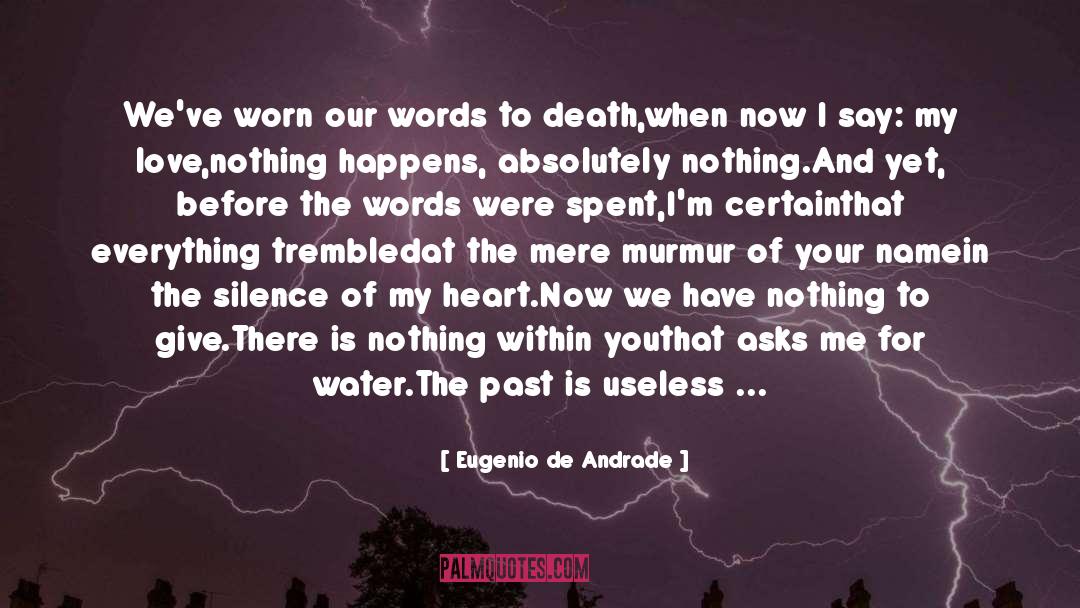 Eugenio De Andrade Quotes: We've worn our words to