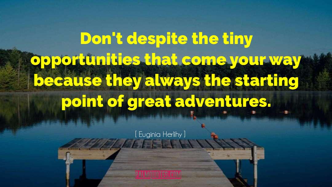 Euginia Herlihy Quotes: Don't despite the tiny opportunities