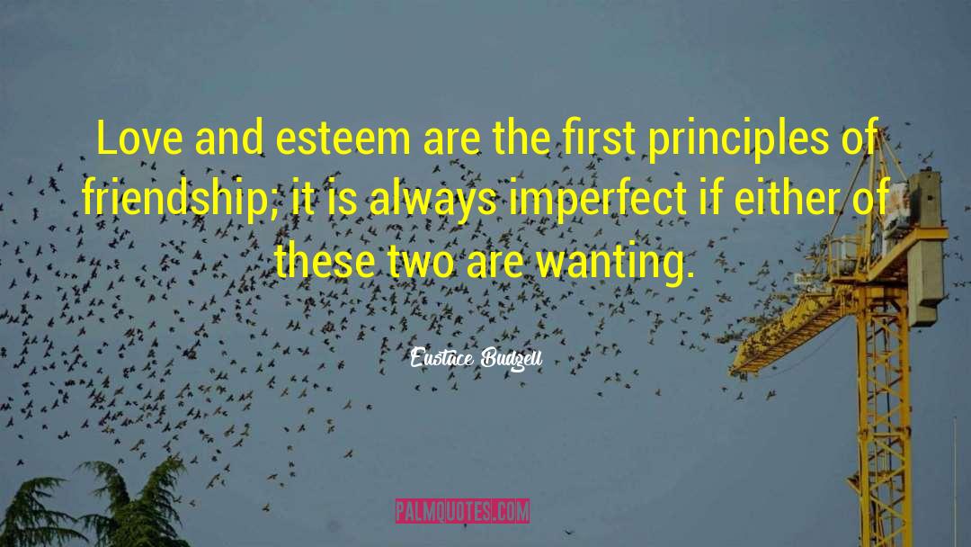 Eustace Budgell Quotes: Love and esteem are the