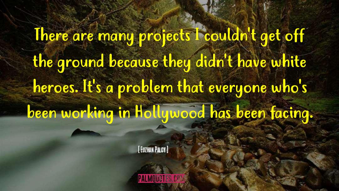 Euzhan Palcy Quotes: There are many projects I