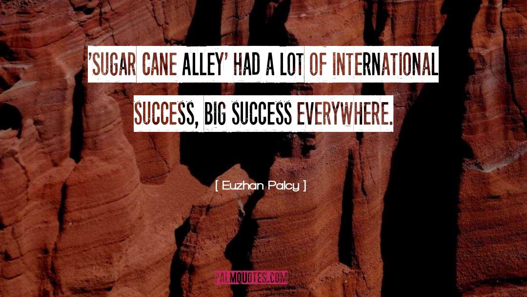 Euzhan Palcy Quotes: 'Sugar Cane Alley' had a