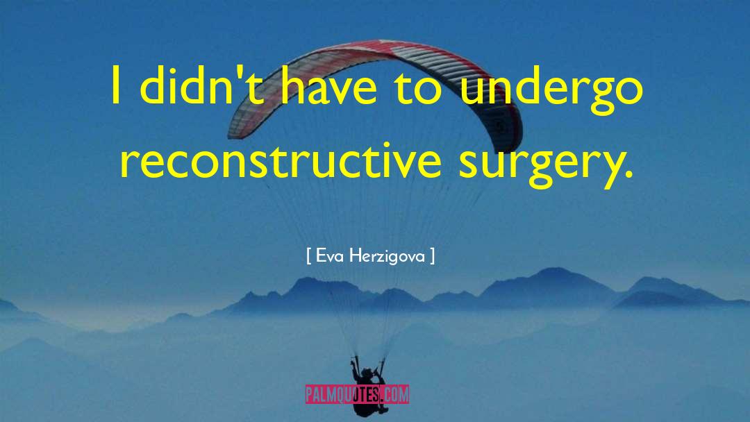 Eva Herzigova Quotes: I didn't have to undergo