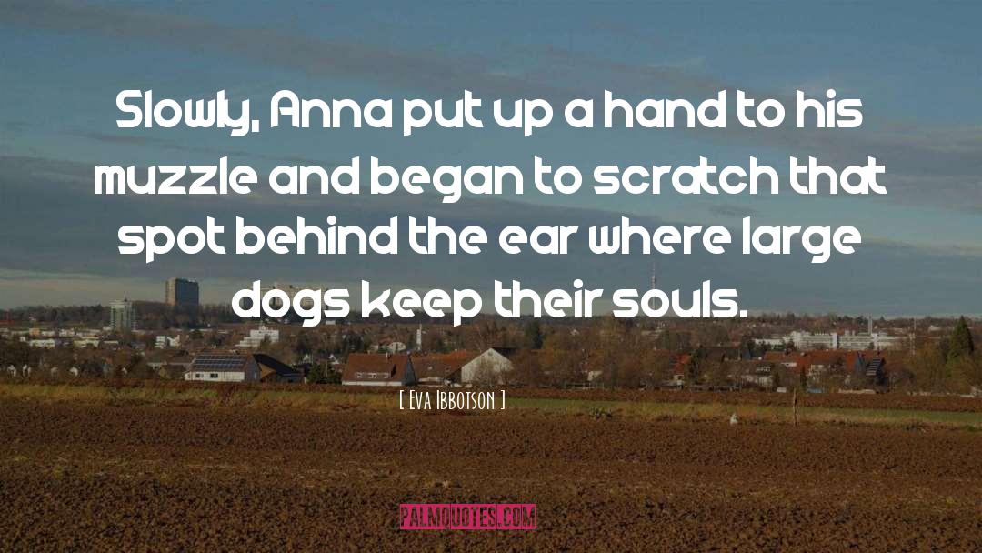 Eva Ibbotson Quotes: Slowly, Anna put up a