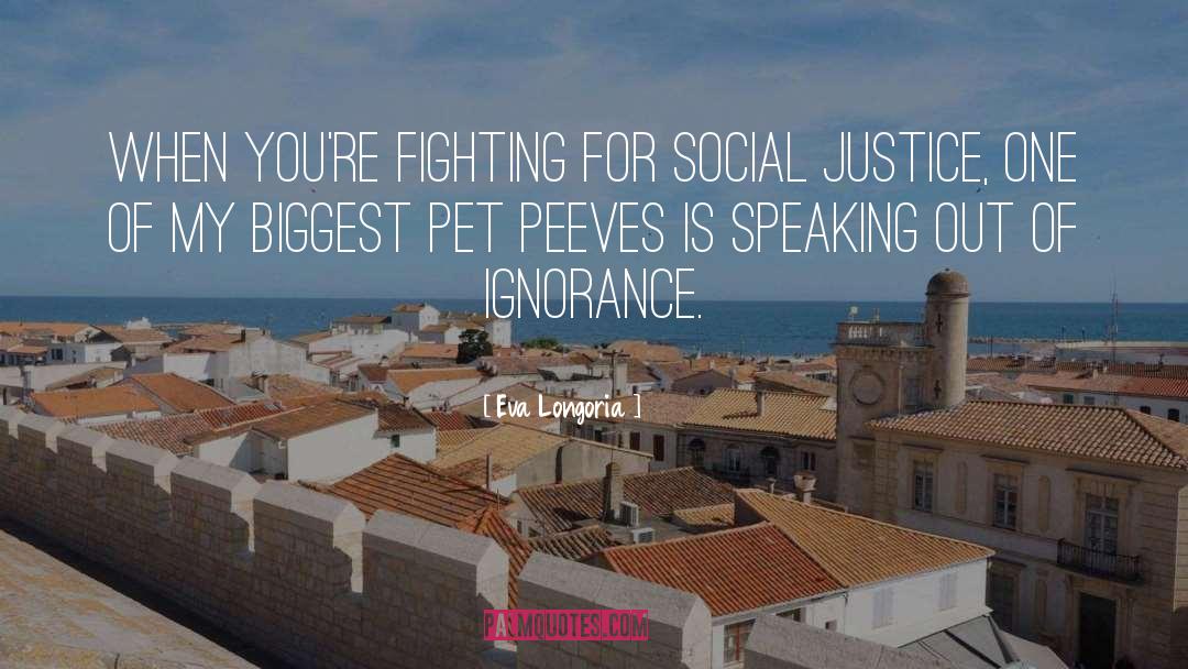 Eva Longoria Quotes: When you're fighting for social
