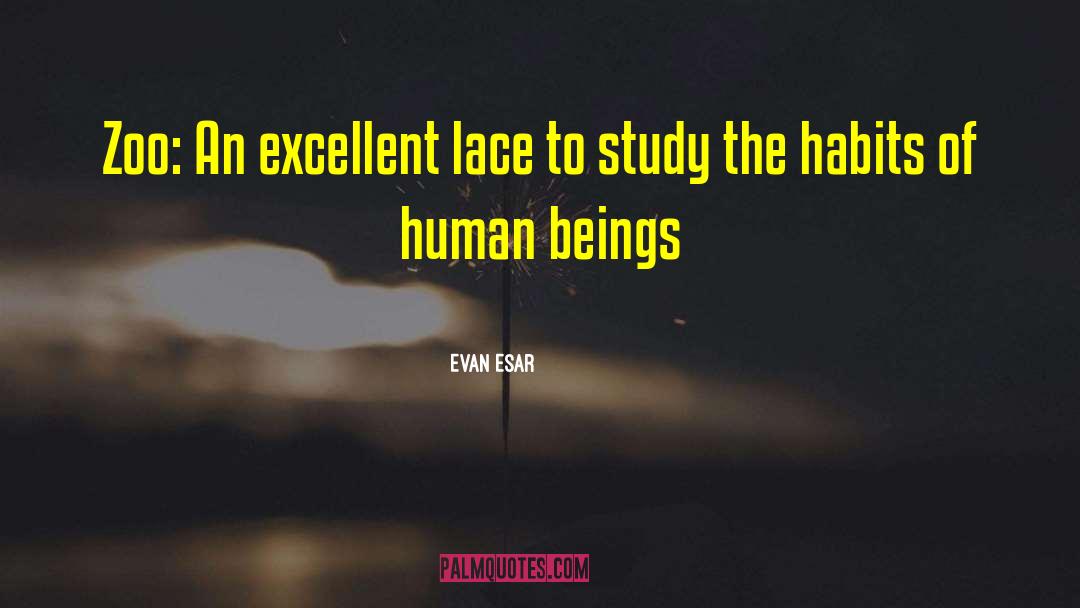 Evan Esar Quotes: Zoo: An excellent lace to