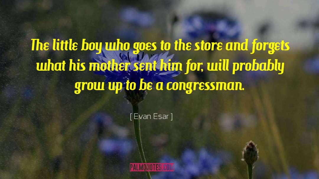 Evan Esar Quotes: The little boy who goes