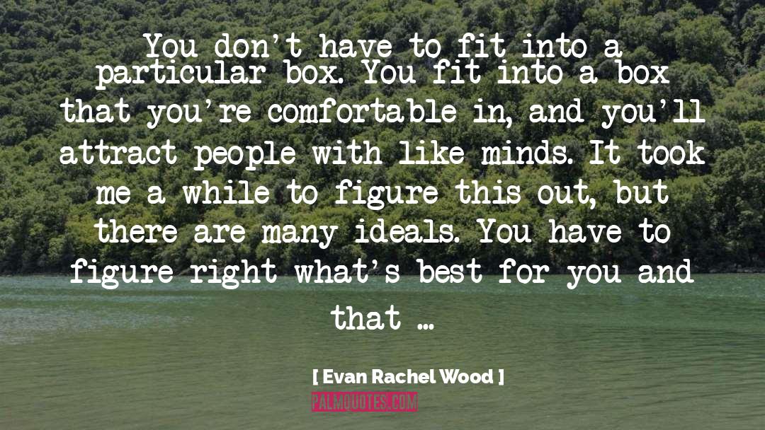 Evan Rachel Wood Quotes: You don't have to fit