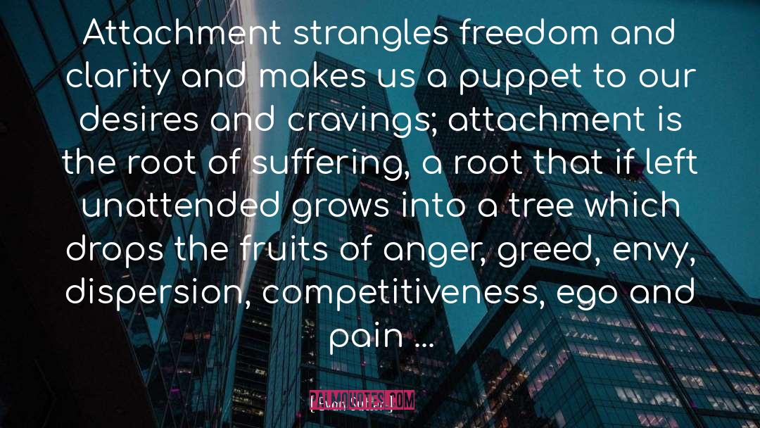 Evan Sutter Quotes: Attachment strangles freedom and clarity
