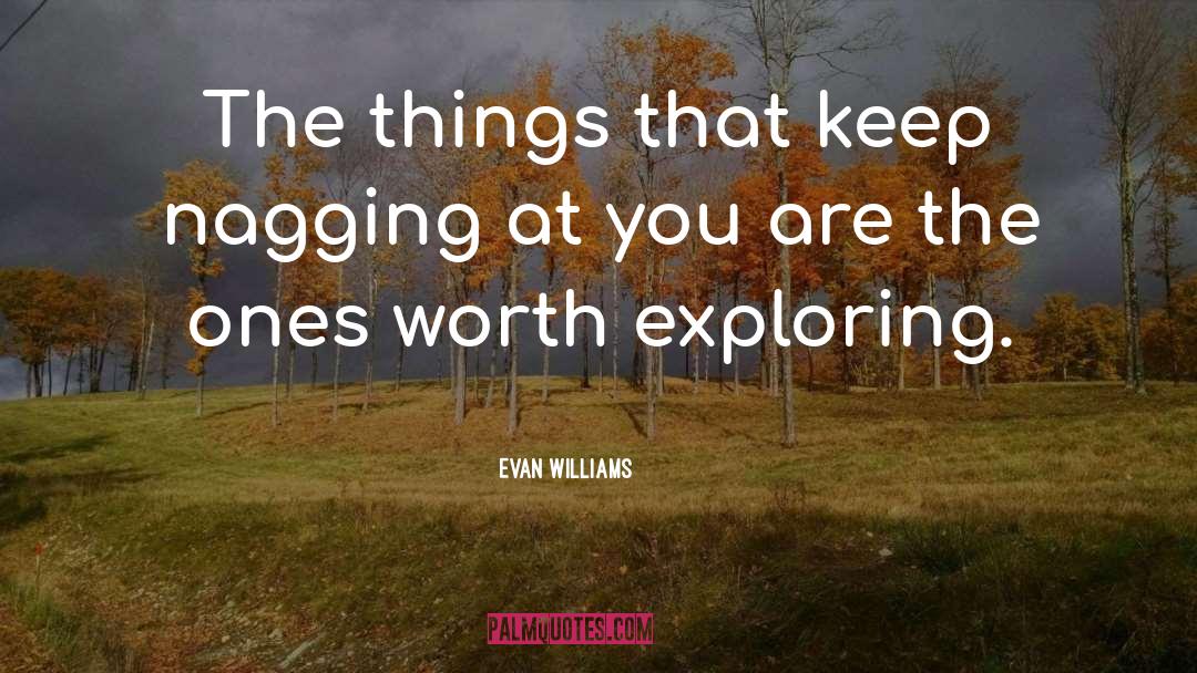 Evan Williams Quotes: The things that keep nagging