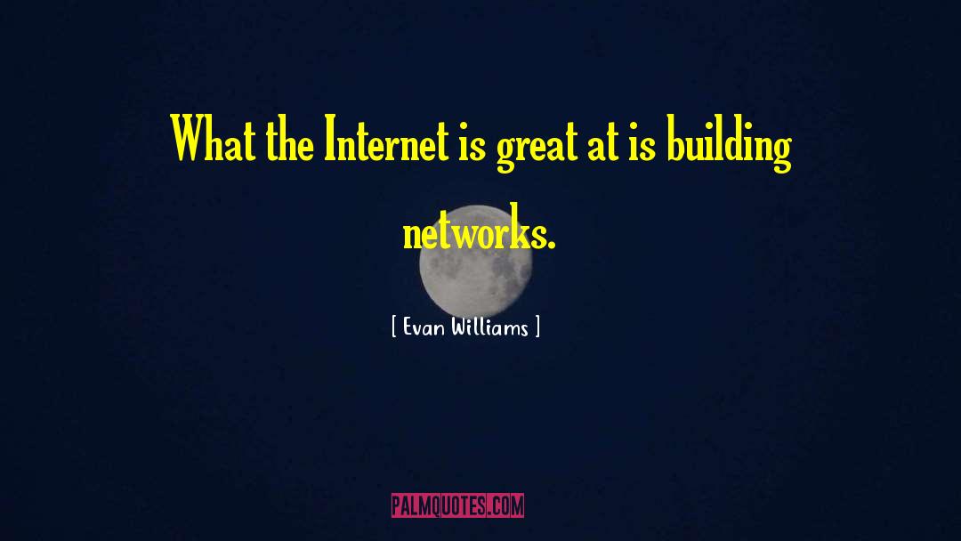 Evan Williams Quotes: What the Internet is great